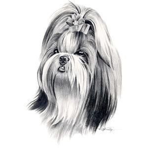 Meet your Posher, Beverly